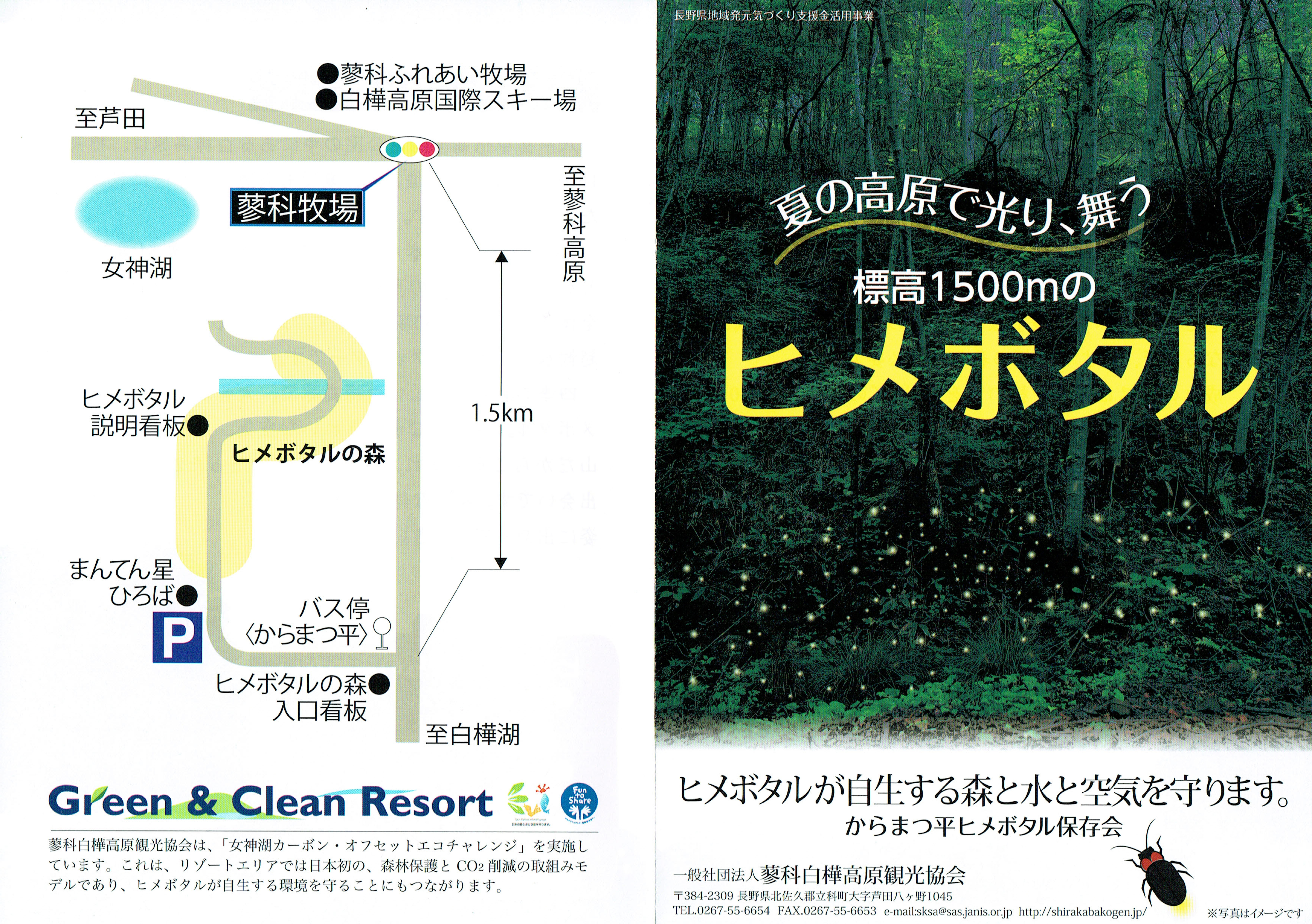 落葉松坪 姬螢 森林 維納斯公路